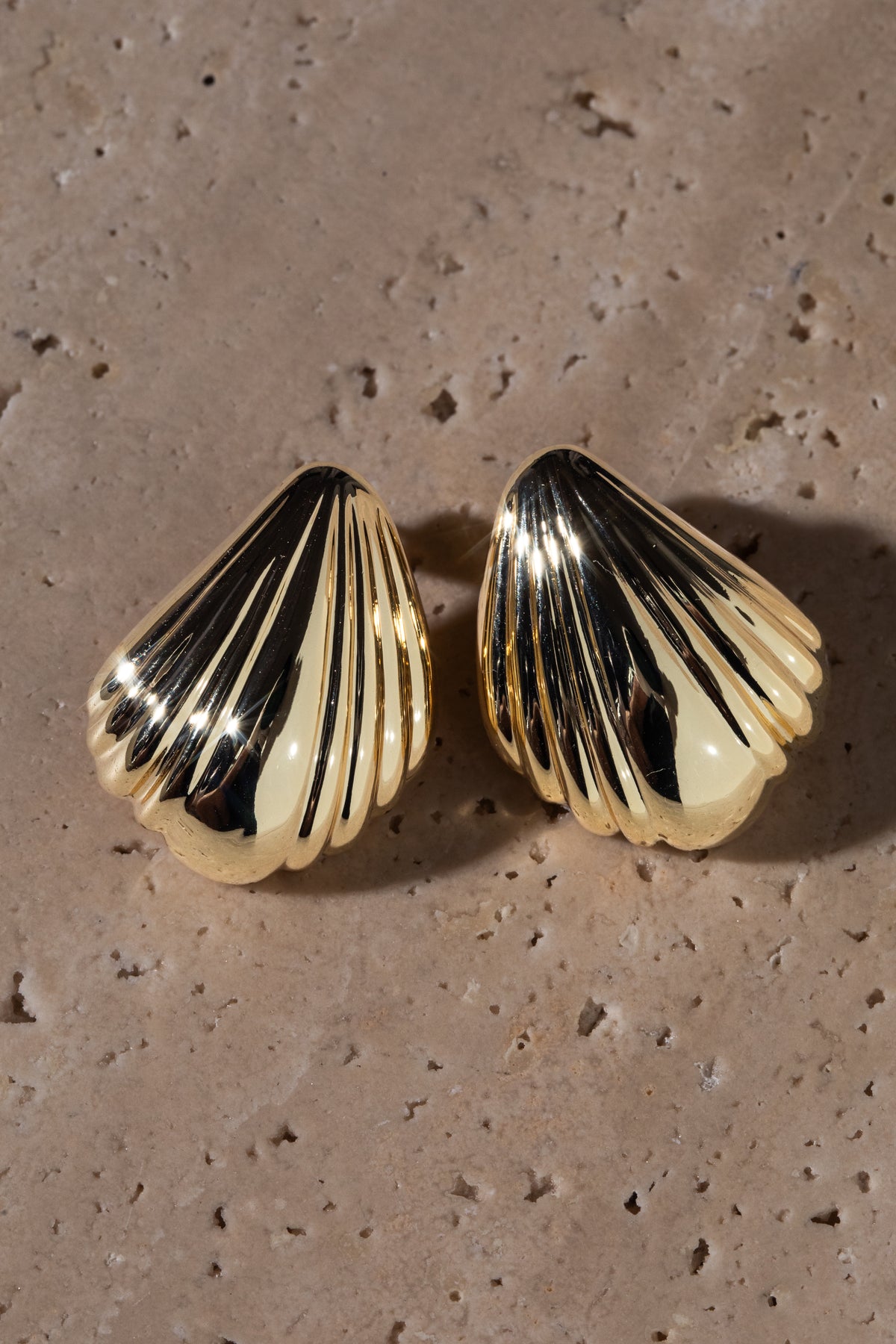 Seashell Studs
