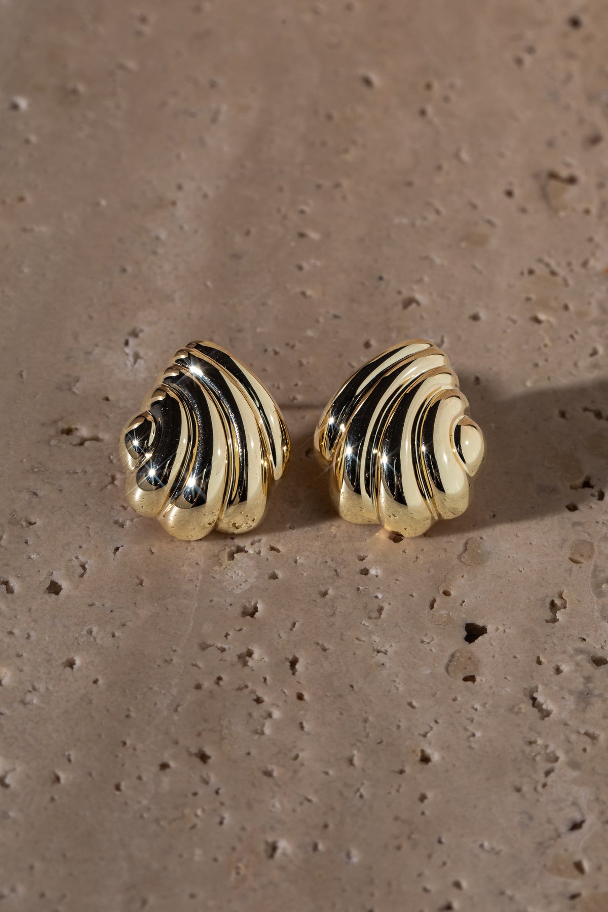 Curved Seashell Studs