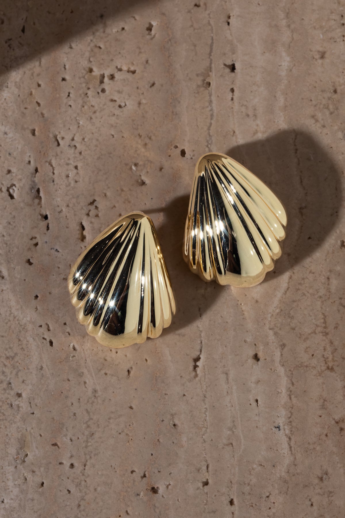 Seashell Studs