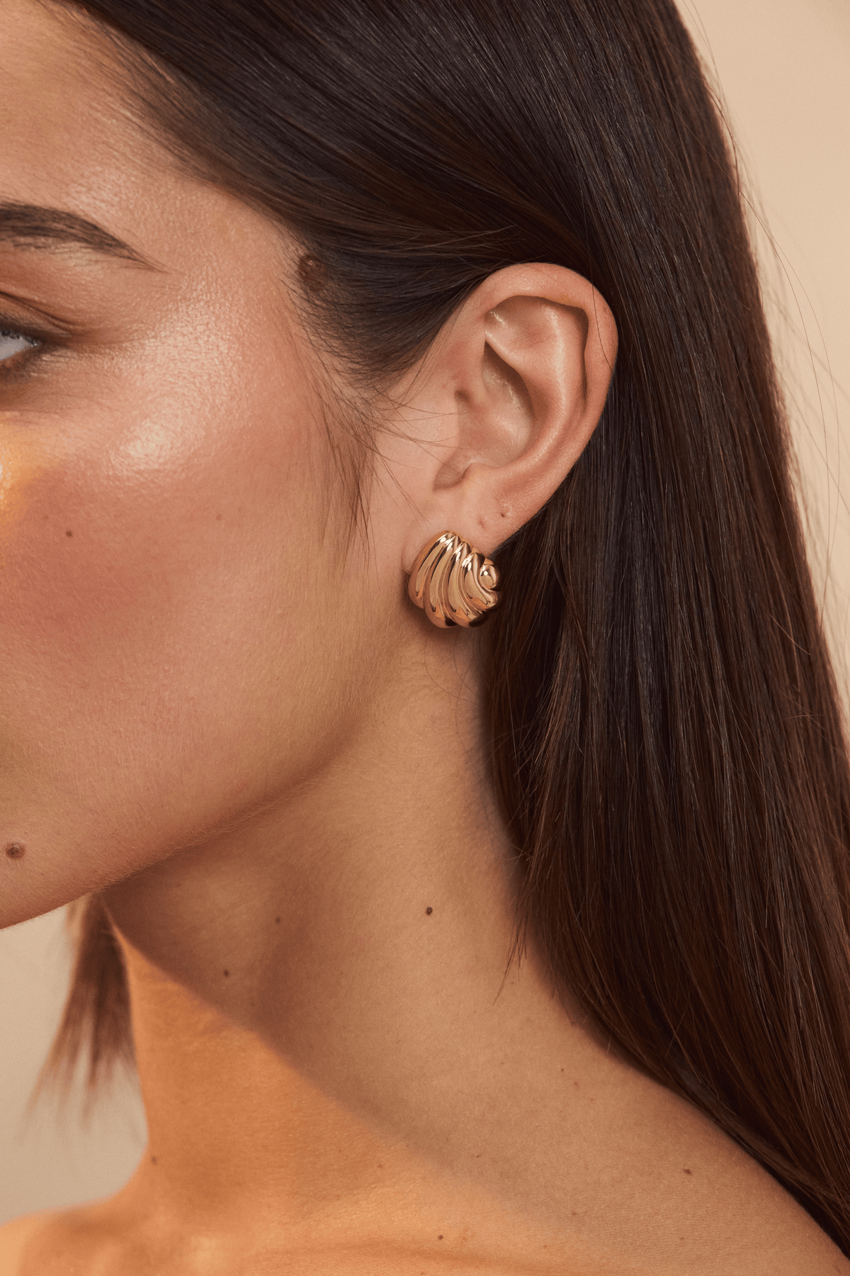 Curved Seashell Studs