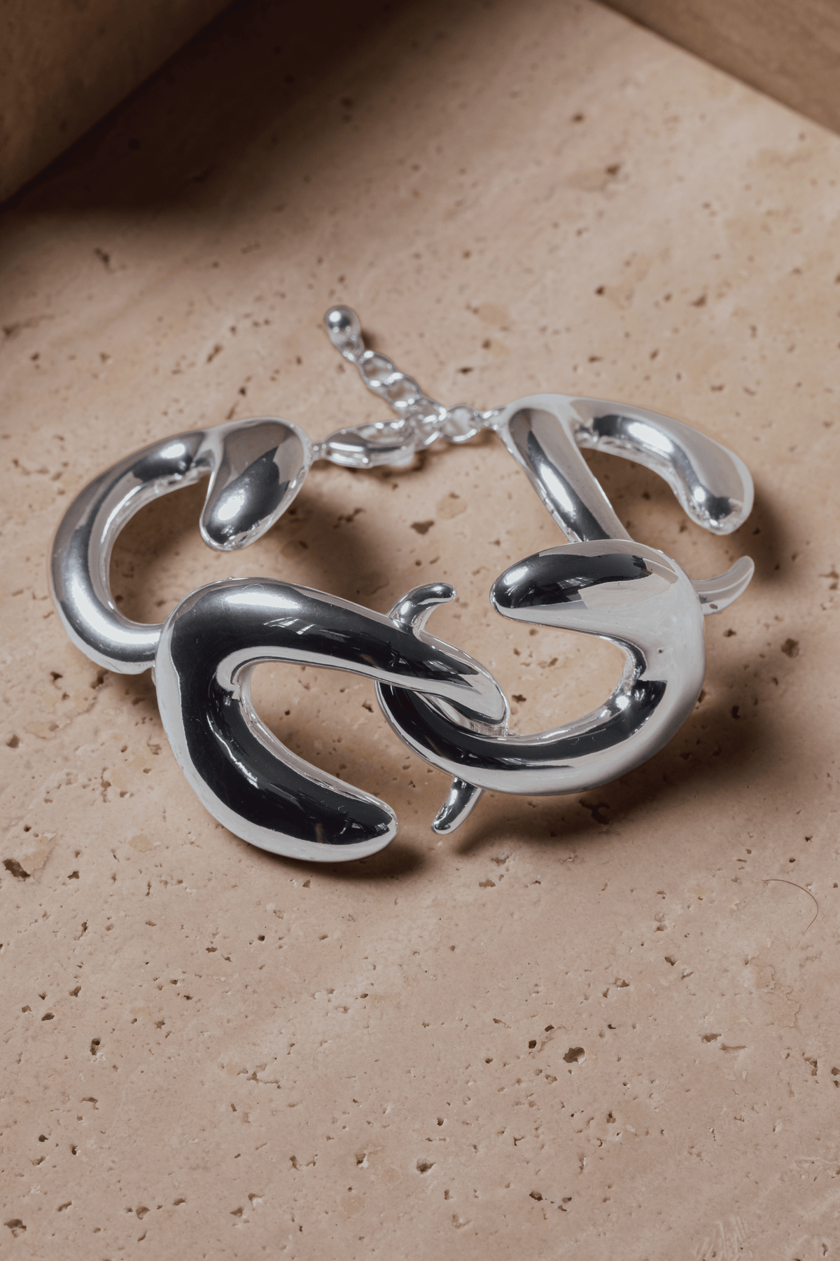 Silver Hooped Chain