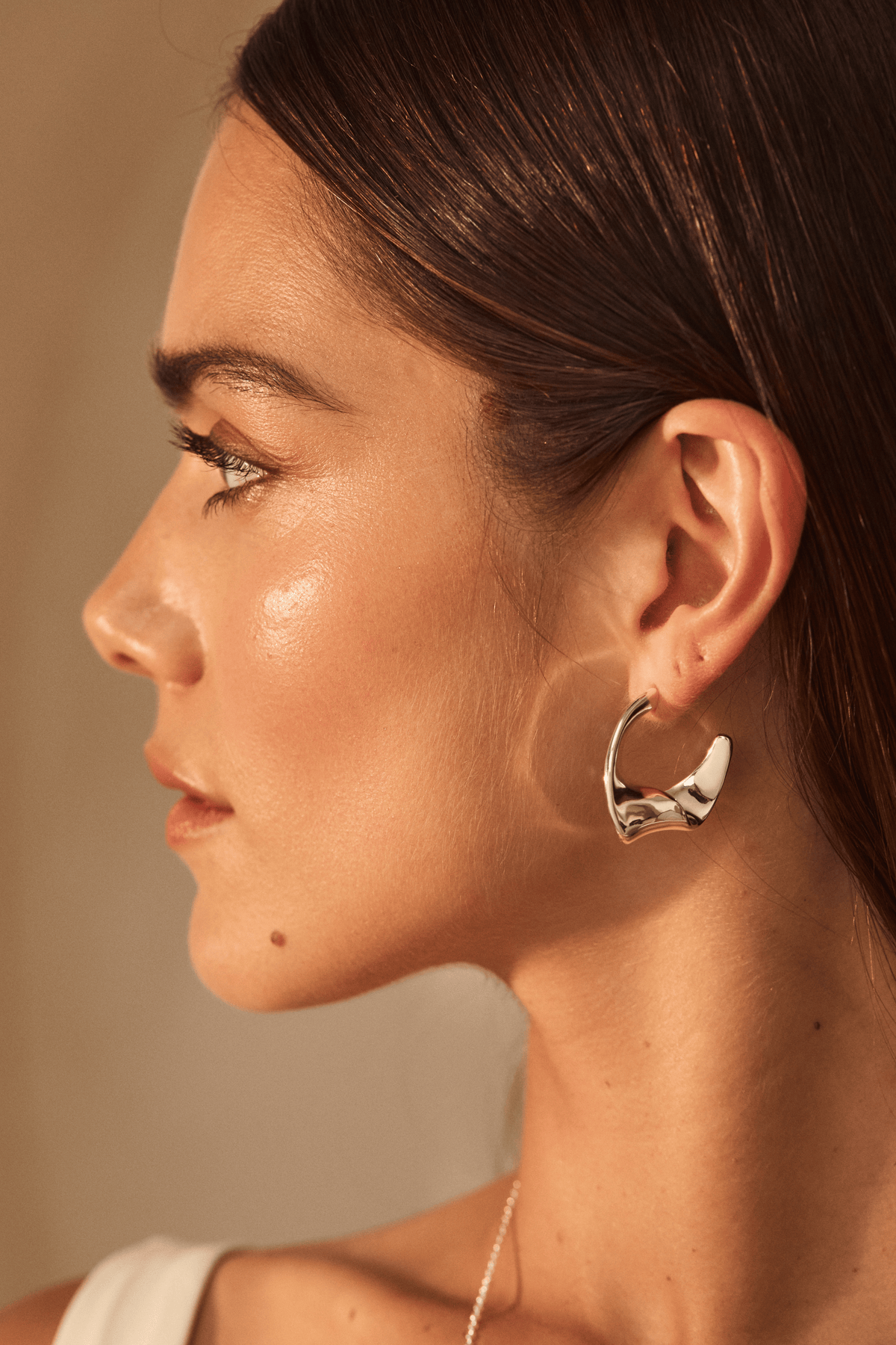 Abstract Twisted Hoops