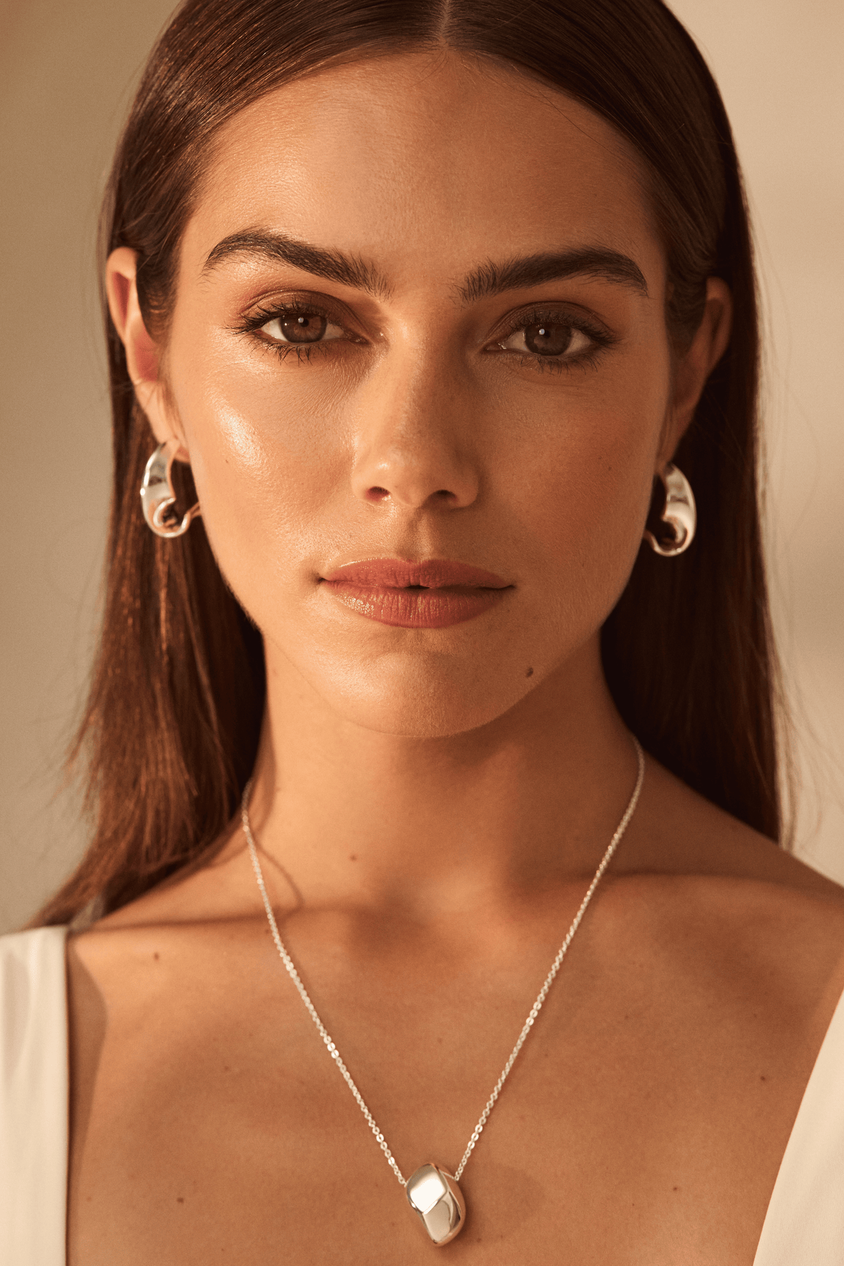 Abstract Twisted Hoops