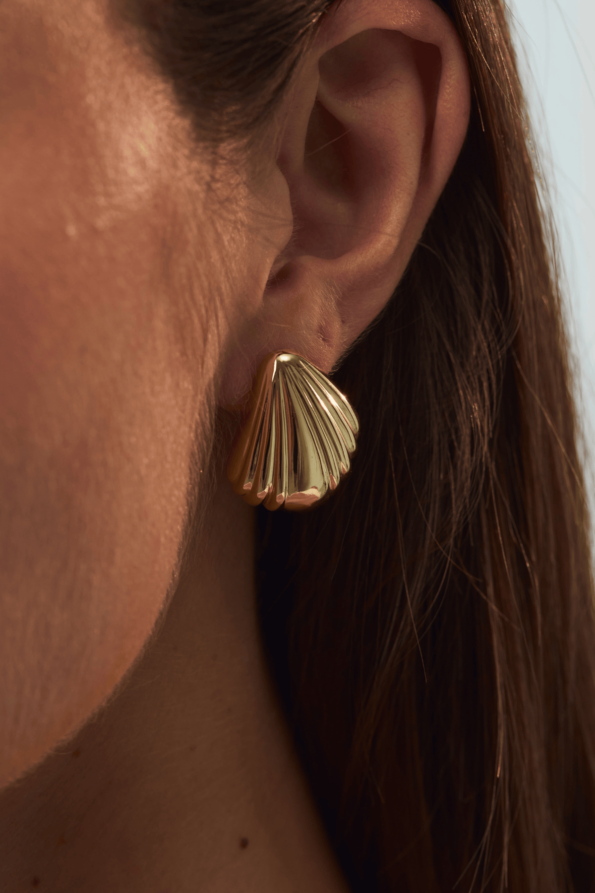 Seashell Studs